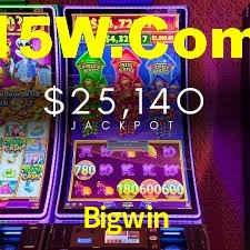 Programa VIP Bigwin