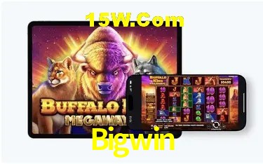 Experiência VIP Bigwin
